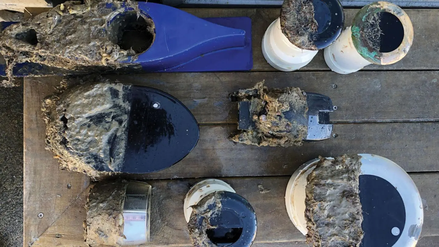 Lightspeed demostración